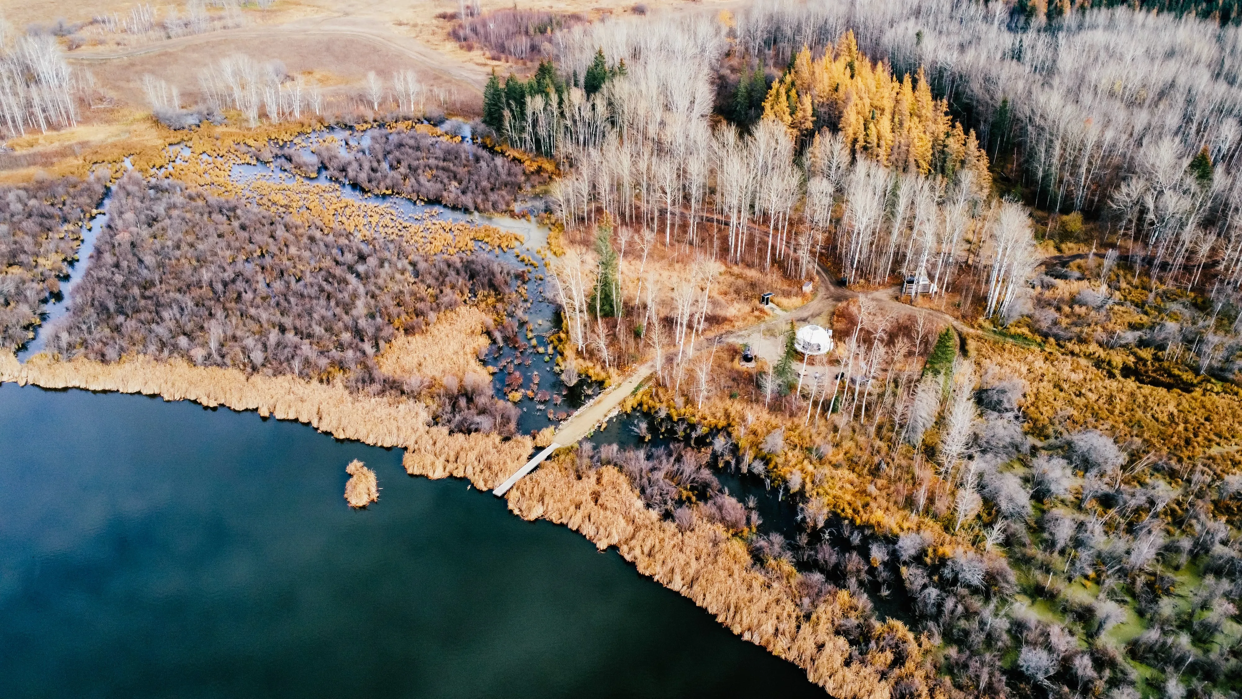 overhead view of the ignis dome with lake side and forest views