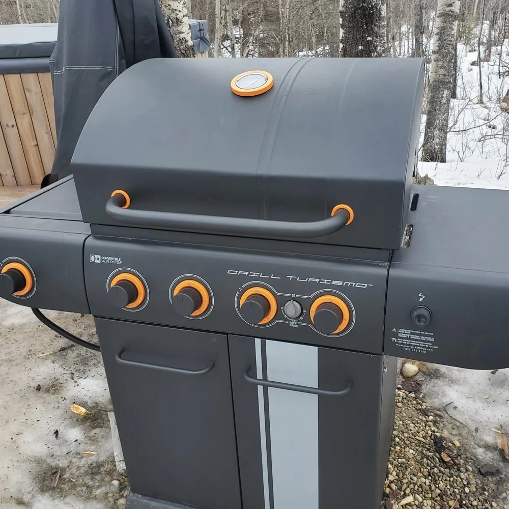 barbeque provided at the ignis dome